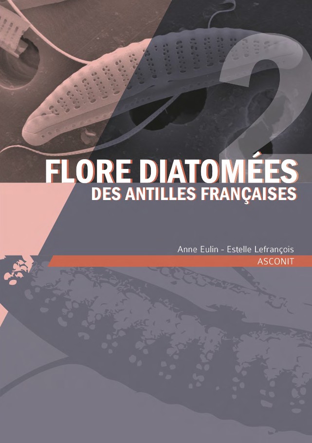 Flore diatomées des Antilles françaises - Volume 2